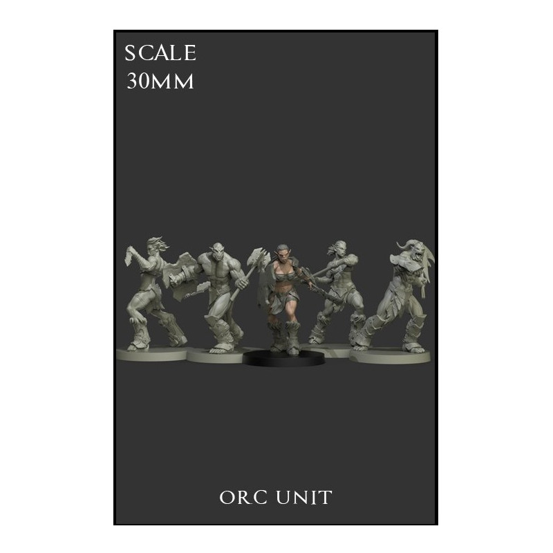 Orc Unit - 5 miniaturas