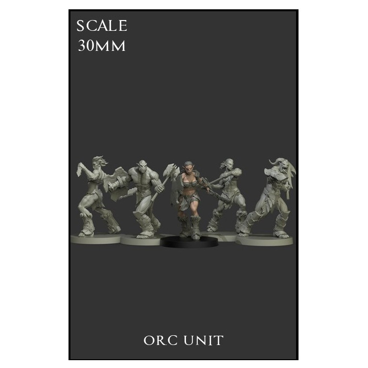Orc Unit - 5 miniaturas