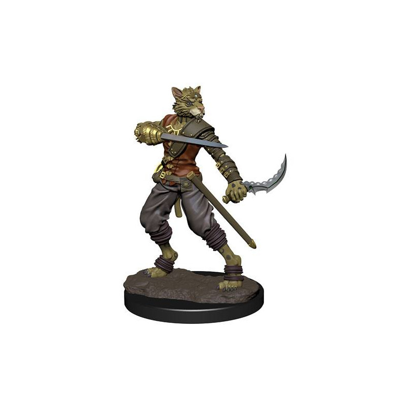 D&D Icons Realms: Tabaxi Rogue Male