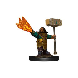 D&D Icons Realms: Dwarf Cleric Male