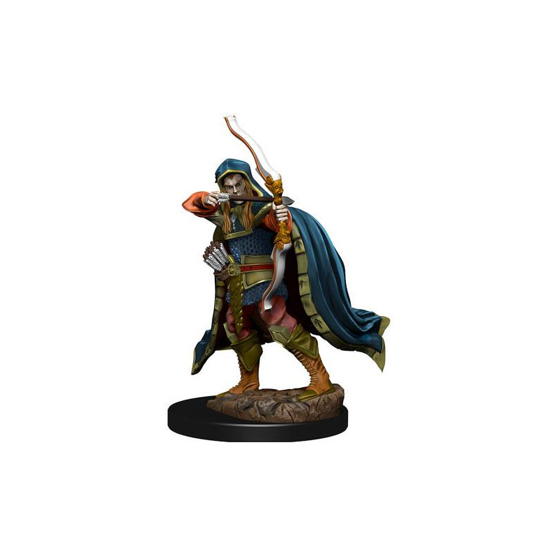 D&D Icons Realms: Elf Rogue Male
