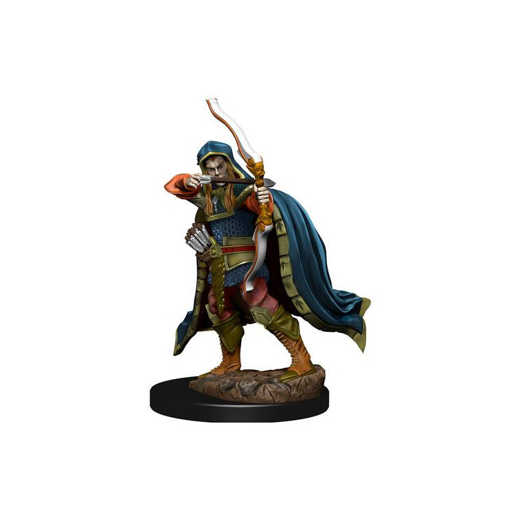 D&D Icons Realms: Elf Rogue Male