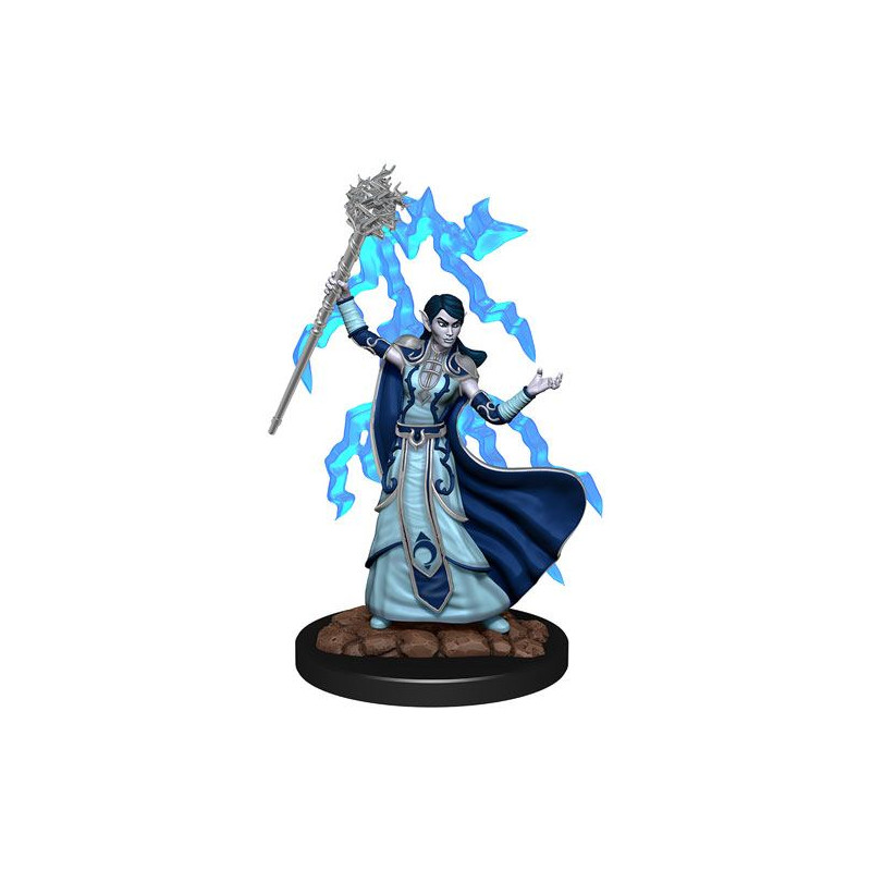 D&D Icons Realms: Elf Wizard Female
