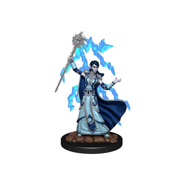 D&D Icons Realms: Elf Wizard Female