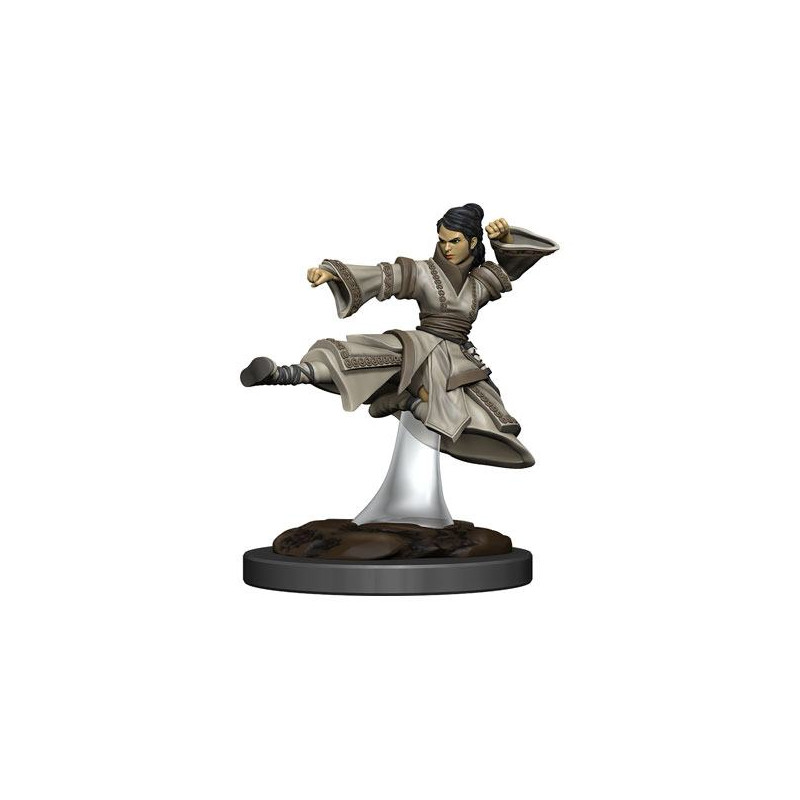 D&D Icons Realms: Human Monk Female