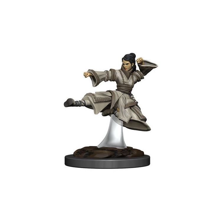 D&D Icons Realms: Human Monk Female
