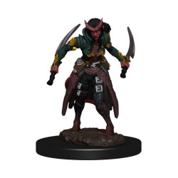D&D Icons Realms: Tiefling Rogue Female