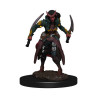 D&D Icons Realms: Tiefling Rogue Female