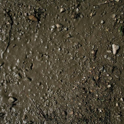 Terrains Wet Ground - 250ml (Acrylic)