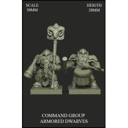 Command Group Armored Dwarves Scale 30mm