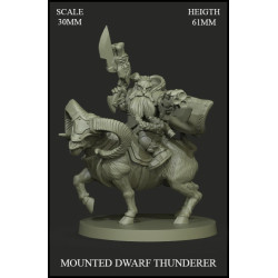 Mounted Dwarf Thunderer 30mm