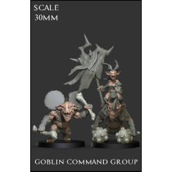 Goblin Command Group Scale 30mm