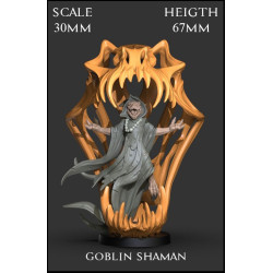 Goblin Shaman Scale 30mm