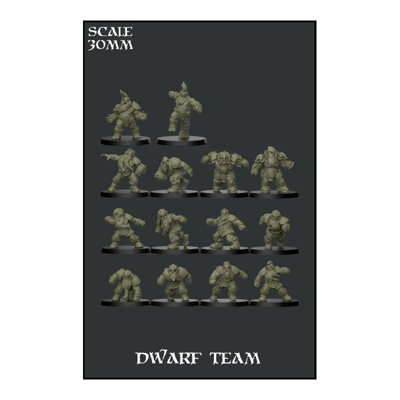 Dwarf Team Fantasy Football Scale 30mm
