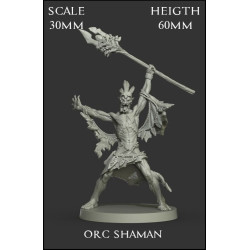 Orc Shaman Scale 30mm