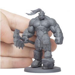 Orc Champion V1 Scale 30mm
