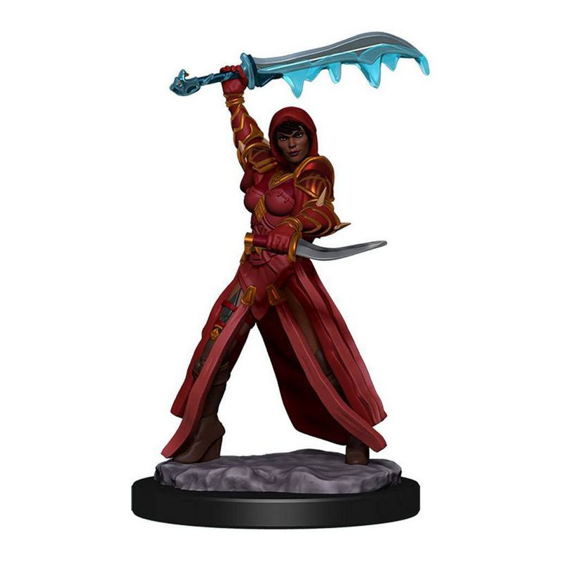 D&D Icons of the Realms: Human Rogue Female