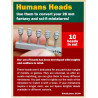 Humans Heads