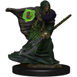 D&D Icons of the Realms Premium Figures: Elf Druid Male