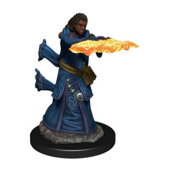 D&D Icons of the Realms: Human Wizard Female