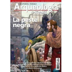 Arqueología e Historia 35. La Peste Negra