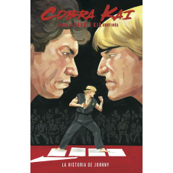 Cobra Kai La Saga de Karate Kid Continua La Historia de Johnny