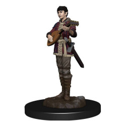 D&D Icons of the Realms: Half-Elf Bard Female