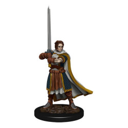 D&D Icons of the Realms: Human Cleric Male