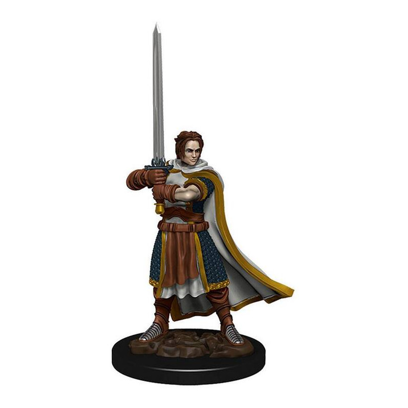 D&D Icons of the Realms: Human Cleric Male