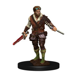 D&D Icons of the Realms: Human Rogue Male