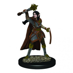 D&D Icons of the Realms: Female Elf Cleric