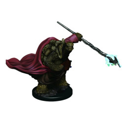 D&D Icons of the Realms: Male Tortle Monk