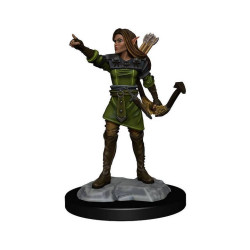 D&D Nolzur's Marvelous - Elf Ranger Female