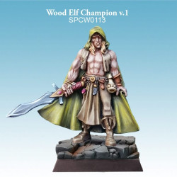 Wood Elf Champion v.1
