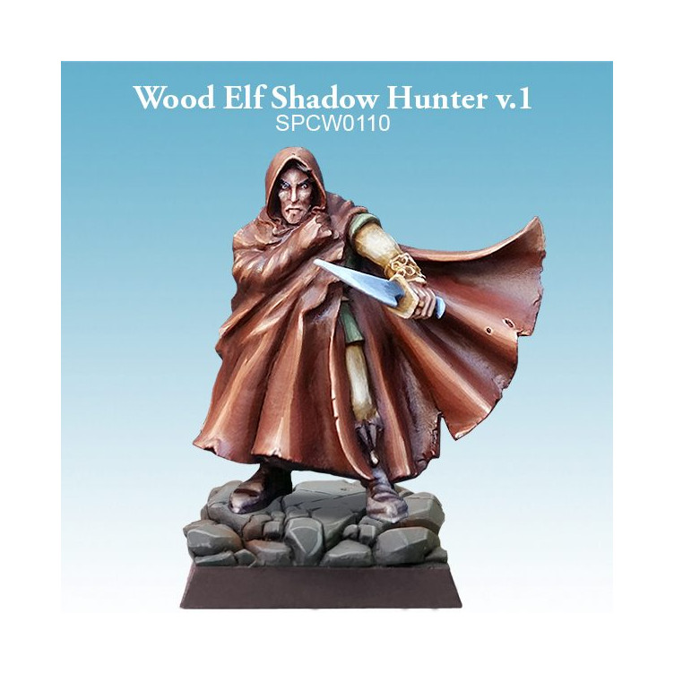 Wood Elf Shadow Hunter v.1