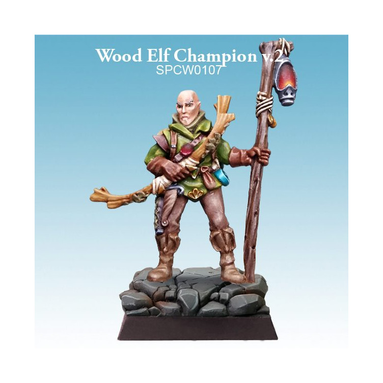 Wood Elf Champion v.2