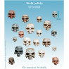 Skulls (reliefs)