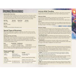 Dungeon of the Mad Mage - DM Screen