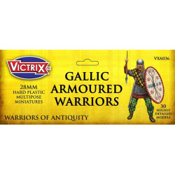 Gallic Armoured Warriors (30)