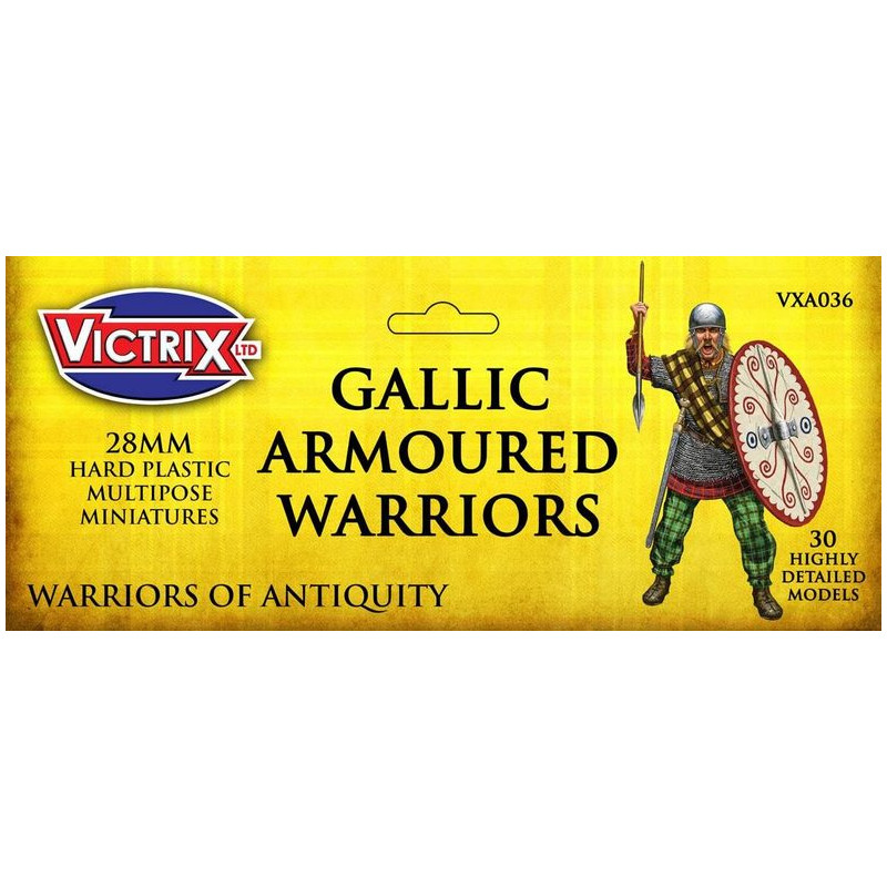 Gallic Armoured Warriors (30)