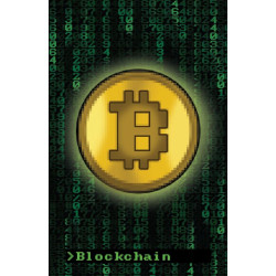 Bitcoin Hackers (castellano)