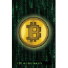 Bitcoin Hackers (castellano)