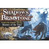 Shadows of Brimstone: Masters of the Void Deluxe Enemy Pack