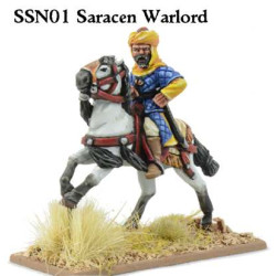 Saracen Mounted Warlord (Unarmoured)(1)