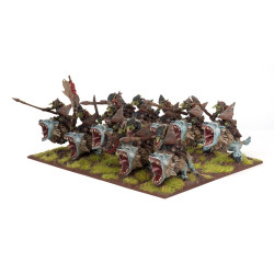 Goblin Flebag Riders Regiment