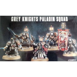 Grey Knights Terminator - Paladin Squad