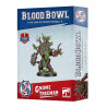 copy of Blood Bowl: Vampire Counts Team Pitch & Dugouts